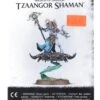 Tzeentch Arcanites: Tzaangor Shaman - Disciples Of Tzeentch